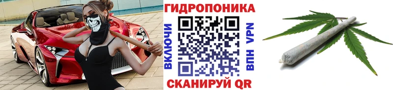 Каннабис индика  Бирск 